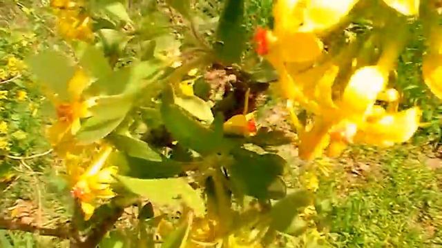 УКОРЕНЯЮ в ЛЮБВИ и ПРИВЕТ от Т. СВЕТЫ 18 апр 2016 смотреть онлайн