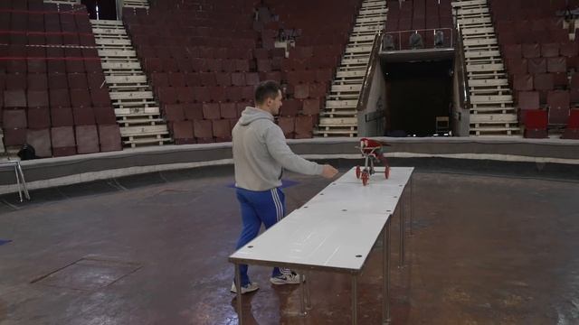 Олег, Bonobo Боня не любит плохих шуток! Дан Запашный готовит новый номер с попугаями? смотреть онлайн