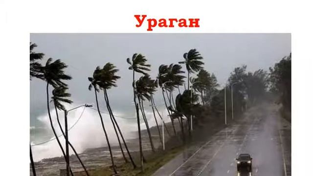 ВІТЕР смотреть онлайн