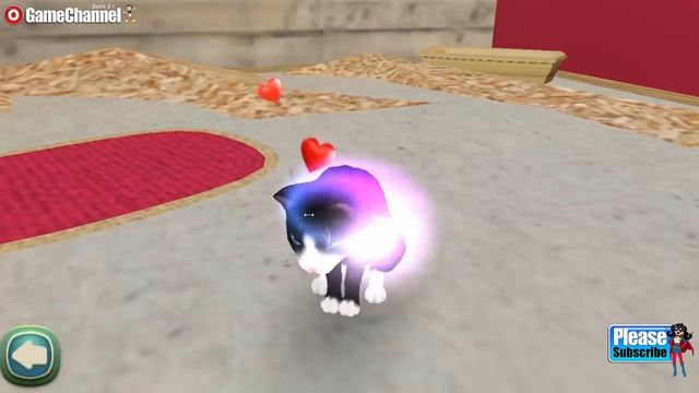 Pet Hotel My Animal Boarding, Care For Cats, Dogs, Videos Games for Kids - Girls - Baby Android смотреть онлайн