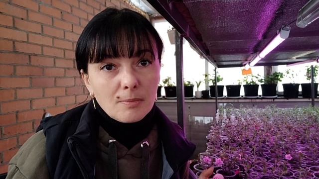 Посев перца на рассаду, февраль 2023г смотреть онлайн