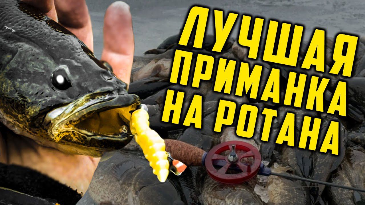 ИННОВАЦИОННАЯ ПРИМАНКА на ротана! Ловля ротана на зимней рыбалке. Первый лед 2023-24 смотреть онлайн