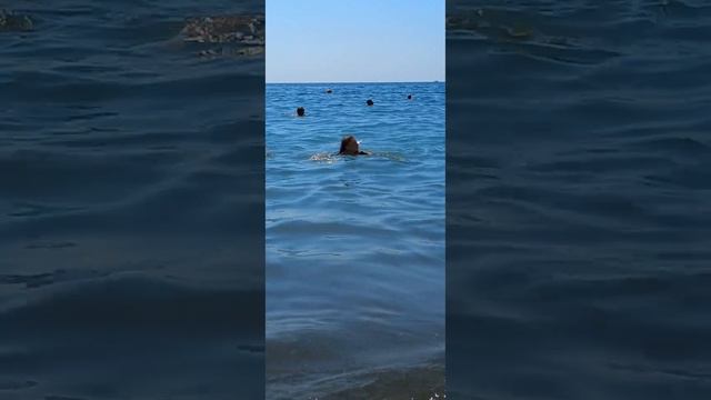 г.СОЧИ , ЧЁРНОЕ МОРЕ , ПЛАВАЕМ , ЗАГАРАЕМ ! 29.08.23г . смотреть онлайн