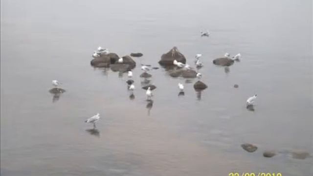 Путешествие в Петербург