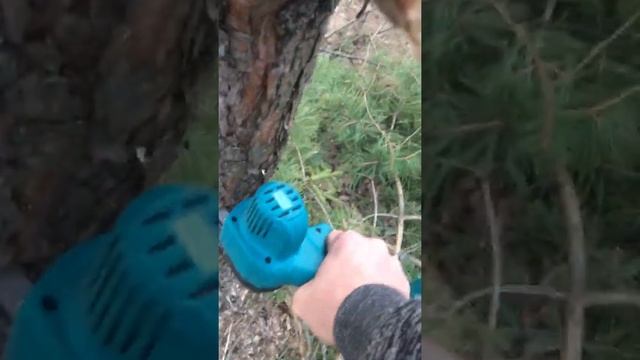 Сучкорез цепной 3 а/ч смотреть онлайн