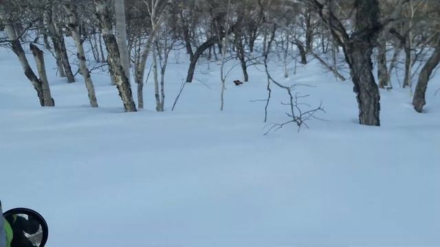 камчатка росамаха смотреть онлайн
