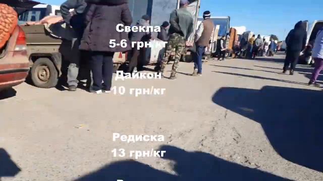 Большие Копани цены 14.10 на рынке смотреть онлайн