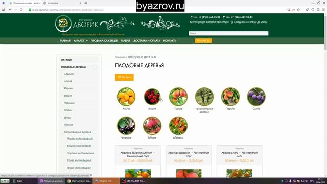 Создание Сайта Для Питомника Растений В Москве И Московской Области смотреть онлайн