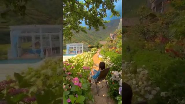 The greenary of the world 😮😮😮❤️❤️❤️❤️ смотреть онлайн