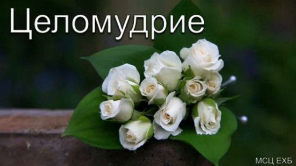 Целомудрие  Ю  В  Шаменков  МСЦ ЕХБ ПРОПОВЕДЬ 2020