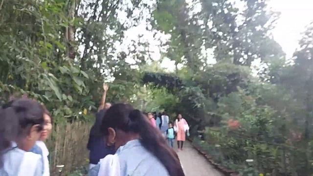 OUR STAY AT BORGOS RESORT (PART 1) | CHRISTMAS EVE VLOG AT KAZIRANGA | ORCHID PARK KAZIRANGA смотреть онлайн