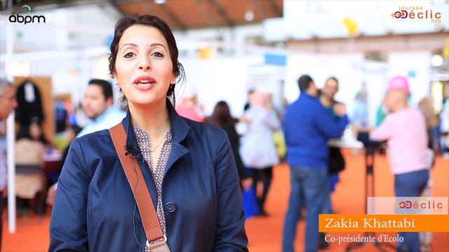 Declic 2015 Brussels 4K смотреть онлайн