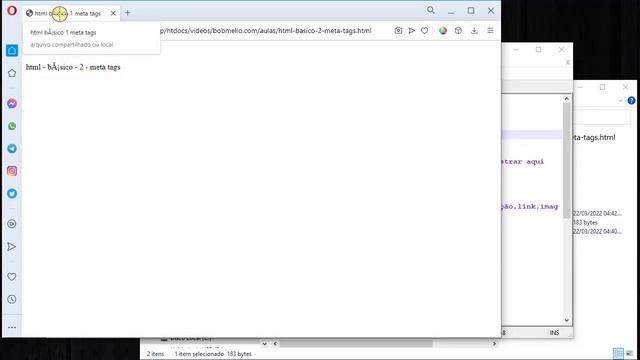html básico 2 meta tags смотреть онлайн