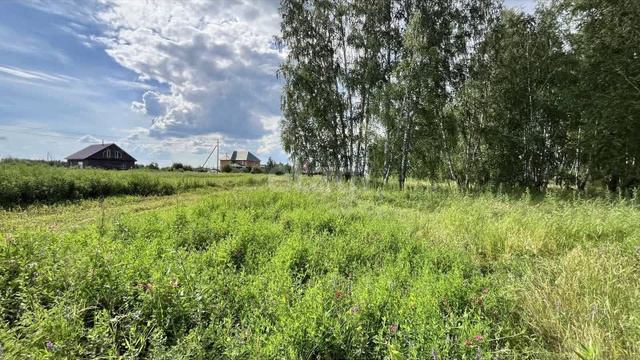 11278094 смотреть онлайн