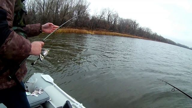 Рыбалка поздней осенью! Хороший клёв судака на джиг смотреть онлайн