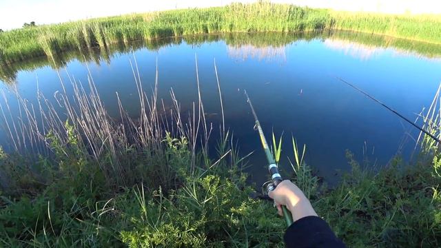 рыбалка НА ПОПЛАВОК по КАРАСИКАМ НА КАРАНТИНЕ! смотреть онлайн