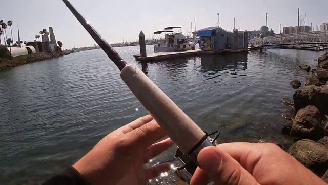 Bite after Bite!!! Kelp Bass Love Gulp Sandworms (Small Bass) смотреть онлайн