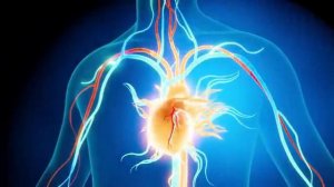 Матрица №6 __ Исцеление Сердца и Всей Кровеносной Системы __ Очень Редкая!