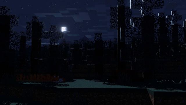 Taiga | Crafty Concepts Ambience