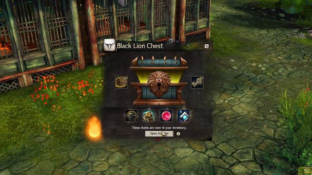 Opening 50 Black Lion Chest Keys (Ebonhawke Defender) | Guild Wars 2 смотреть онлайн