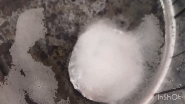 Сравнительный тест деликатных шампуней для бесконтактной мойки с высокощелочным Koch Multi Star Sio