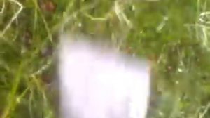 Эфективный комбайн для сбора клюквы.