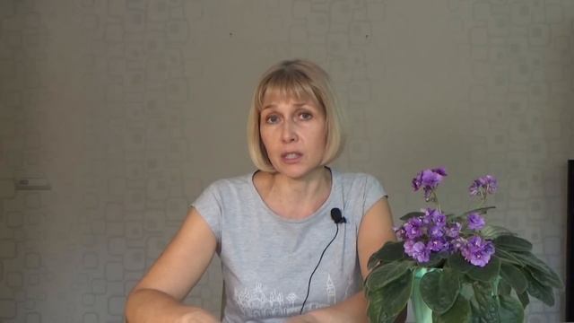 Базилик. Выбираем сорт. Палитра вкусов и ароматов. смотреть онлайн