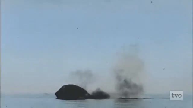 Graphic Ww1 Combat Footage 18+