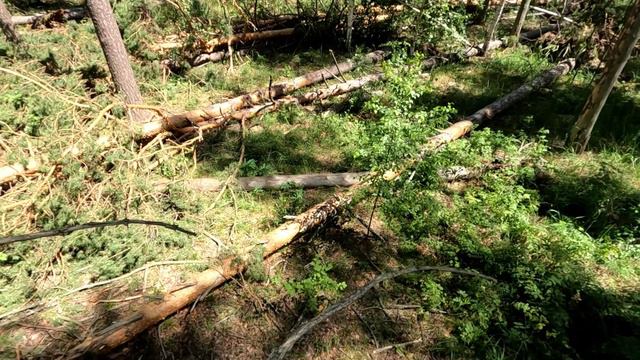 Последствия как от падения Тунгусского метеорита смотреть онлайн