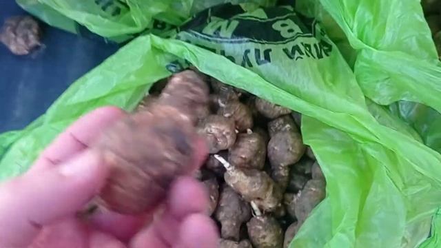 Готовим праздничный стол 