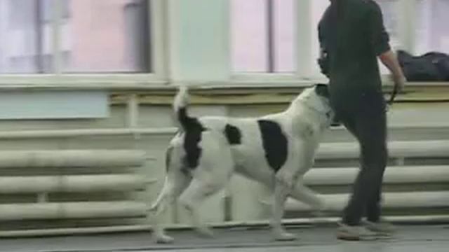 Верк смотреть онлайн