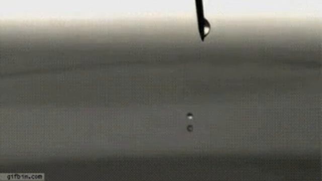 Мало кто знает, но когда капля воды падает на водную гладь, она не проваливаетя внутрь. смотреть онлайн