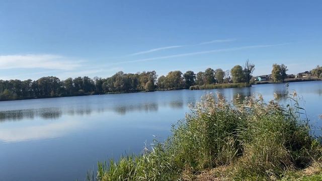 Кто звонит?