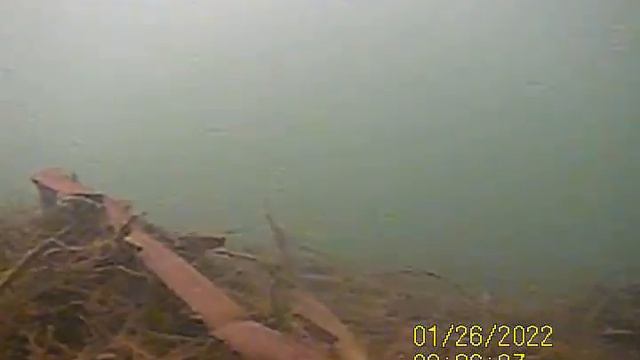 река Беспута камера Калипсо