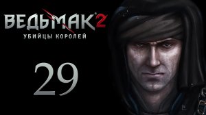 The Witcher 2 / Ведьмак 2 - Рыцарский турнир - Прохождение игры на русском [#29] | PC (2017 г.)