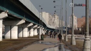 Лёгкое метро может появиться в Подмосковье