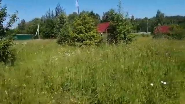 Светлые Горы Беседки "Зона Барбекю" смотреть онлайн