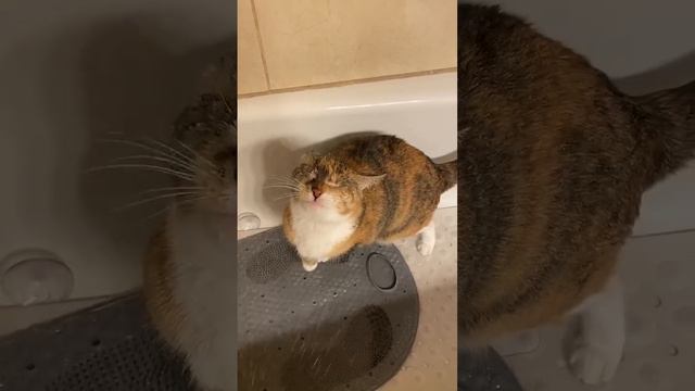 ЦЕНТР ПРИРОДЫ