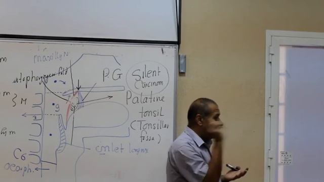 GIT Block Lec3 Prof Wagih "female" part 4 end смотреть онлайн