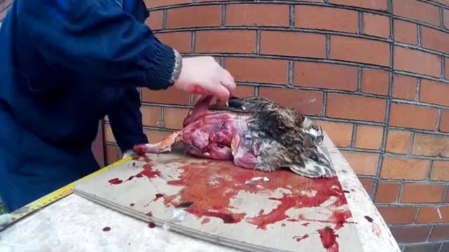 Как я разделываю утку смотреть онлайн