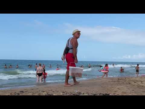 Консервируем море на зиму. Бражник-калибри. #благовещенская