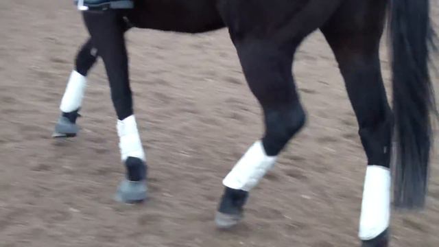 15 Mar Schooling Show Test #2 смотреть онлайн