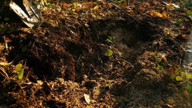 ЗОЛОТО ИЗ ПЕСКА В СТАРОМ РУСЛЕ смотреть онлайн