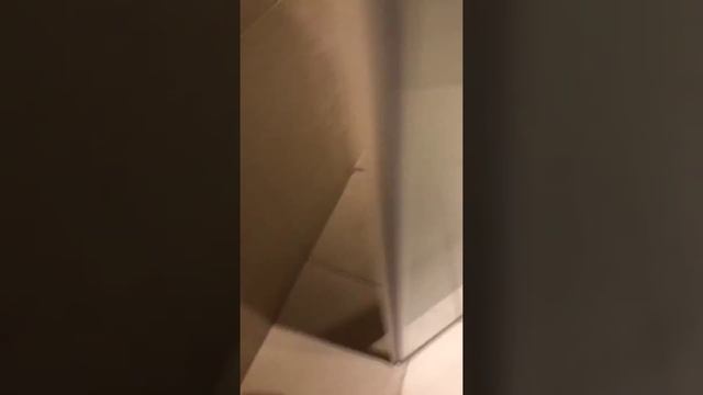 Номер в отеле Anantara Palm Dubai - наши детские каникулы смотреть онлайн