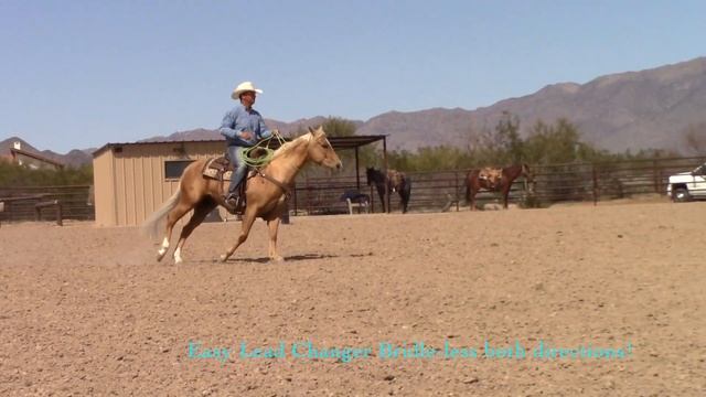 Curly a 2013 AQHA Palomino Gelding смотреть онлайн
