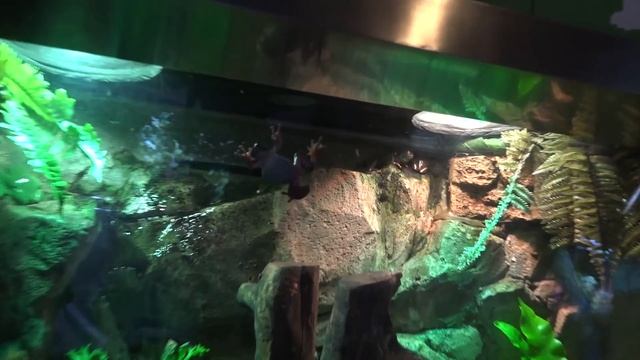 Бурдж Халифа - Самое высокое сооружение человечества. Идем туда! смотреть онлайн