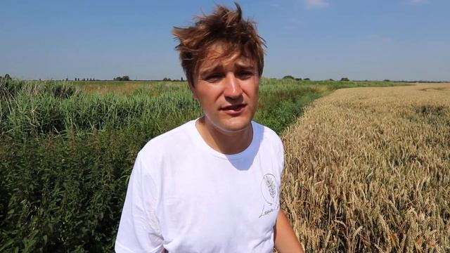 REWILDING BRITAIN - A Greener Future for Agriculture? смотреть онлайн
