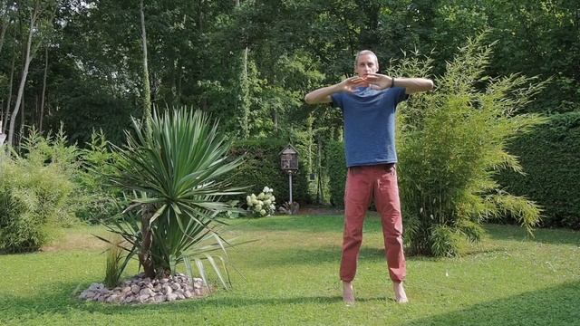 [COURS] ??♂️ Qi Gong débutants ? Inspirer et expirer l'air смотреть онлайн