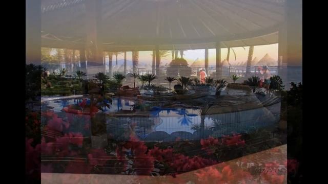 Sharm Grand Plaza Resort 5* смотреть онлайн