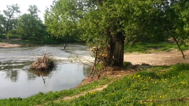 Нара смотреть онлайн